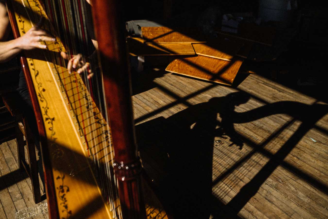 Leigh Brown plays a variety of harp music in Portland Oregon
