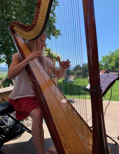 Leigh Brown plays a variety of harp music in Portland Oregon