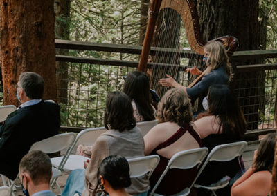 Leigh Brown performing with her harp at a wedding
