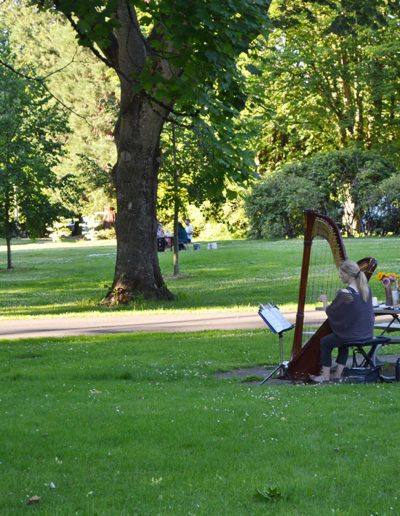 marriage proposal in park