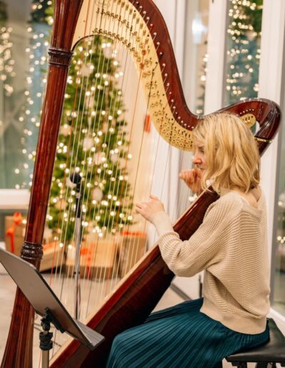 Leigh Brown Portland Harpist