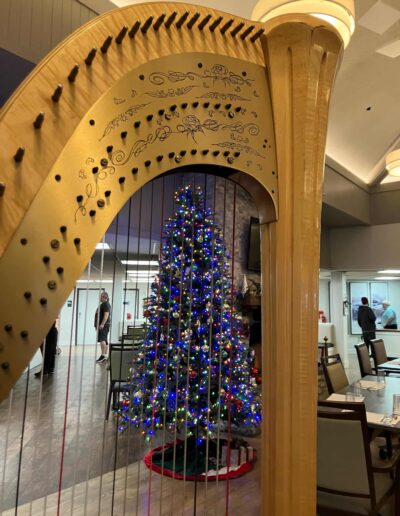 Leigh Brown Portland Harpist